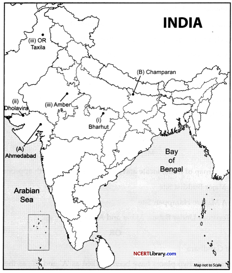 CBSE Sample Papers for Class 12 History Set 5 with Solutions 2