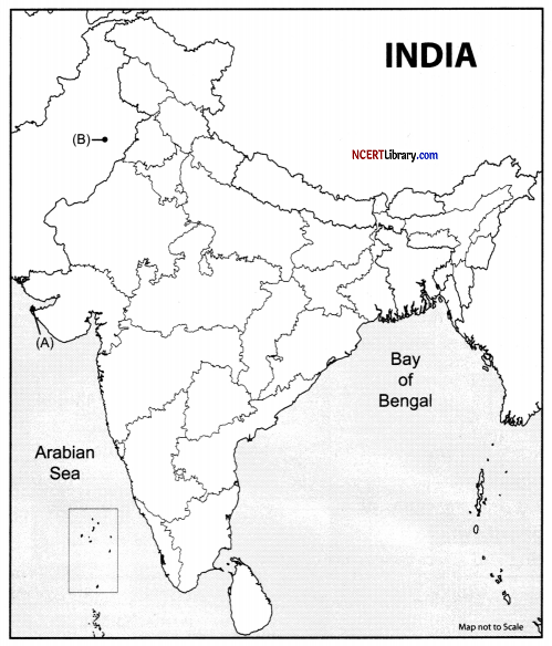 CBSE Sample Papers for Class 12 History Set 6 with Solutions 34.1
