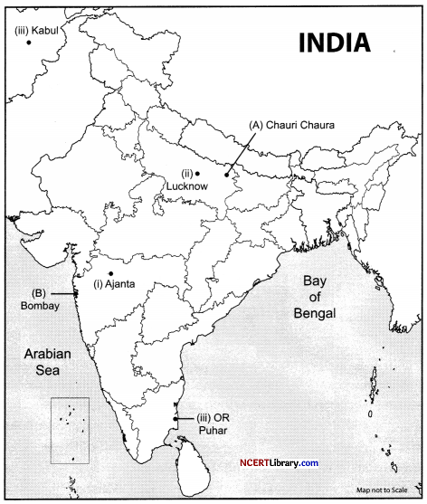 CBSE Sample Papers for Class 12 History Set 7 with Solutions 2