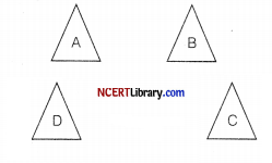 CBSE Sample Papers for Class 12 Informatics Practices Set 1 Img 2