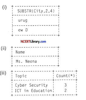 CBSE Sample Papers for Class 12 Informatics Practices Set 5 Img 4