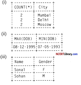 CBSE Sample Papers for Class 12 Informatics Practices Set 7 Img 5