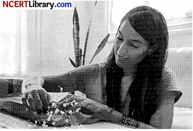 CBSE Sample Papers for Class 12 Maths Set 2 with Solutions img-37