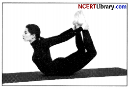 CBSE-Sample-Papers-for-Class-12-Physical-Education-Set-1-with-Solutions-Q-1