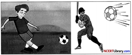 CBSE Sample Papers for Class 12 Physical Education Set 1 with Solutions - Q 32