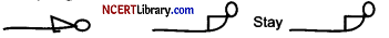 C:\Users\Madura\Pictures\CBSE Sample Papers for Class 12 Physical Education Set 1 with Solutions - Q 34.png