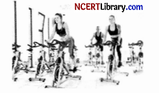 CBSE Sample Papers for Class 12 Physical Education Set 2 with Solutions Q33