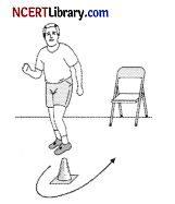 CBSE Sample Papers for Class 12 Physical Education Set 3 with Solutions - Q 32