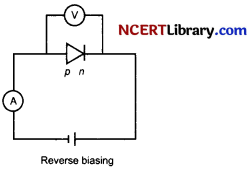 CBSE Sample Papers for Class 12 Physics Set 2 with Solutions 6