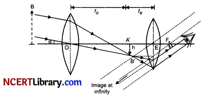 CBSE Sample Papers for Class 12 Physics Set 2 with Solutions 8