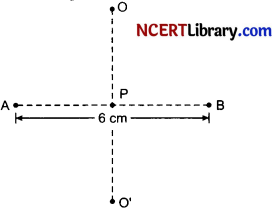 CBSE Sample Papers for Class 12 Physics Set 4 with Solutions 5