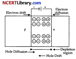 CBSE Sample Papers for Class 12 Physics Set 5 with Solutions 12