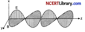 CBSE Sample Papers for Class 12 Physics Set 6 with Solutions 3