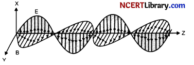 CBSE Sample Papers for Class 12 Physics Set 6 with Solutions 5