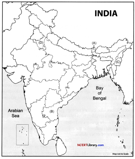 CBSE Sample Papers for Class 12 Political Science Set 3 with Solutions