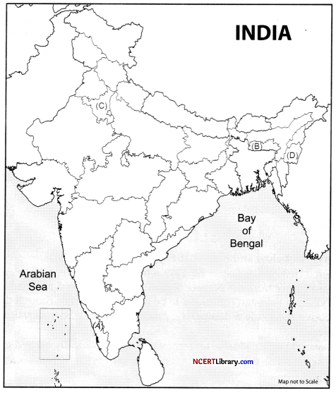 CBSE Sample Papers for Class 12 Political Science Set 5 with Solutions