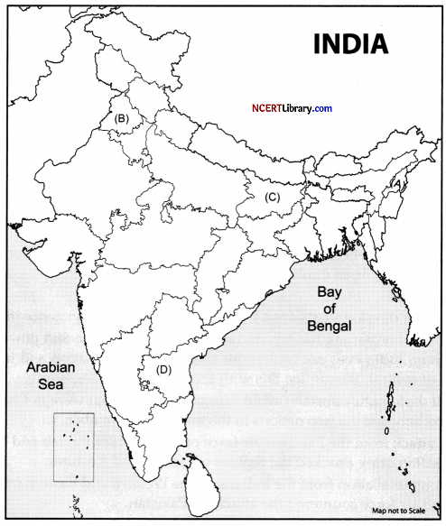 CBSE Sample Papers for Class 12 Political Science Set 6 with Solutions 25