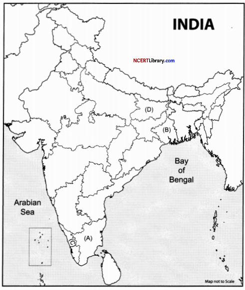 CBSE Sample Papers for Class 12 Poltical Science Set 2 with Solutions 25