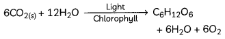 Chemical-Reactions-and-Equations-16