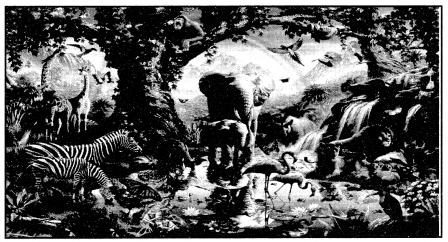 Class 10 Sanskrit Grammar Book Solutions चित्राधारितम् वर्णनम् 2