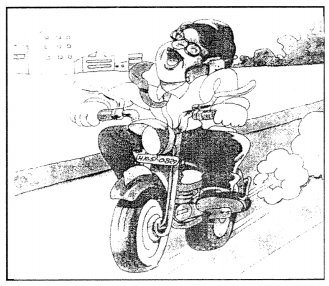 Class 10 Sanskrit Grammar Book Solutions चित्राधारितम् वर्णनम् 5