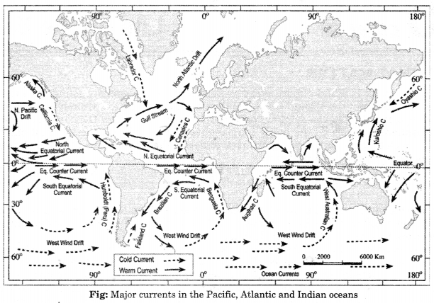 Class-11-Geography-NCERT-Solutions-Chapter-14-Movements-of-Ocean-Water-Q1