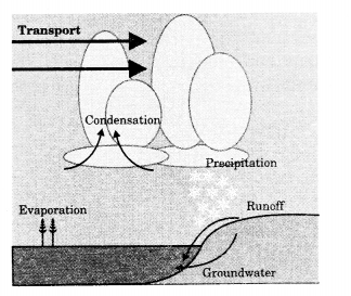 Class 11 Geography NCERT Solutions Chapter 15 Life on the Earth Map Skills Q4