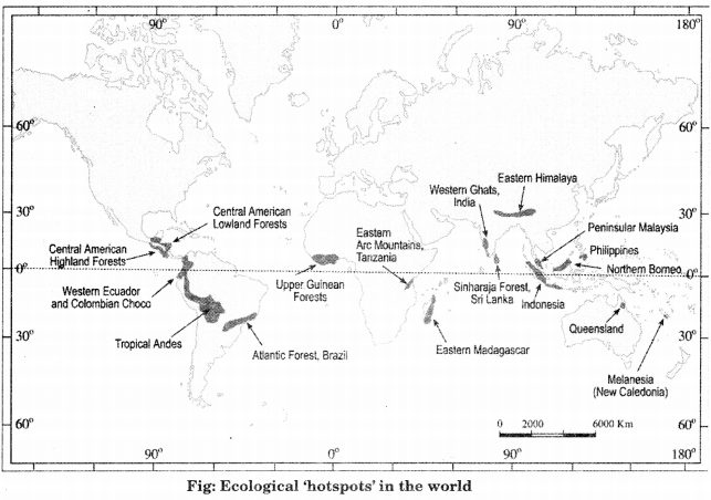 Class-11-Geography-NCERT-Solutions-Chapter-16-Biodiversity-and-Conversation-HOTS-Q3