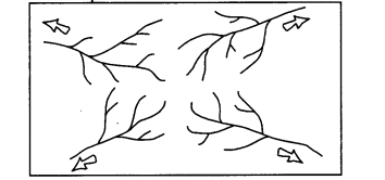 Class 11 Geography NCERT Solutions Chapter 3 Drainage System LAQ Q5.1