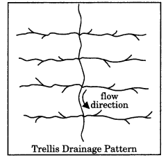 Class 11 Geography NCERT Solutions Chapter 3 Drainage System LAQ Q5.2
