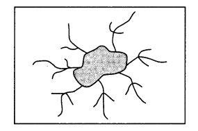 Class 11 Geography NCERT Solutions Chapter 3 Drainage System LAQ Q5.3
