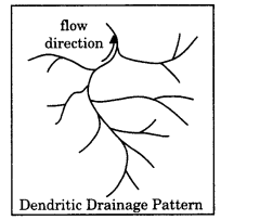 Class-11-Geography-NCERT-Solutions-Chapter-3-Drainage-System-LAQ-Q5