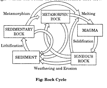 Class-11-Geography-NCERT-Solutions-Chapter-5-Minerals-and-Rocks-LAQ-Q3
