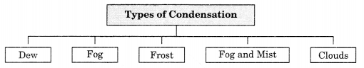 Class-11-Geography-Notes-Chapter-11-Water-in-the-Atmosphere-1