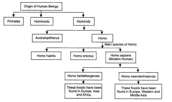 Class-11-History-Notes-Chapter-1-From-the-Beginning-of-Time-1