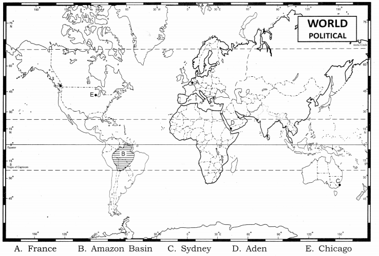 Class 12 Geography NCERT Solutions Chapter 10 Human Settlements LAQ Q1