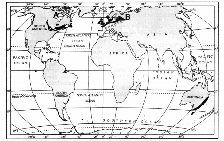 Class 12 Geography NCERT Solutions Chapter 5 Primary Activities LAQ Q4