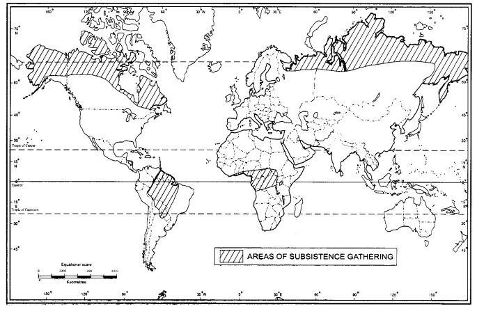 Class-12-Geography-NCERT-Solutions-Chapter-5-Primary-Activities-Map-Based-Questions-Q1