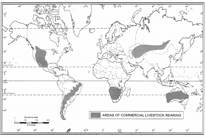 Class 12 Geography NCERT Solutions Chapter 5 Primary Activities Map Based Questions Q3