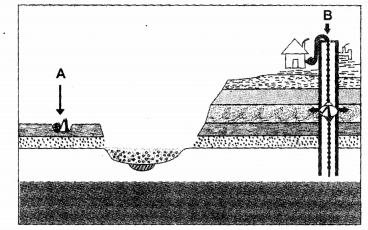 Class 12 Geography NCERT Solutions Chapter 5 Primary Activities SAQ Q3