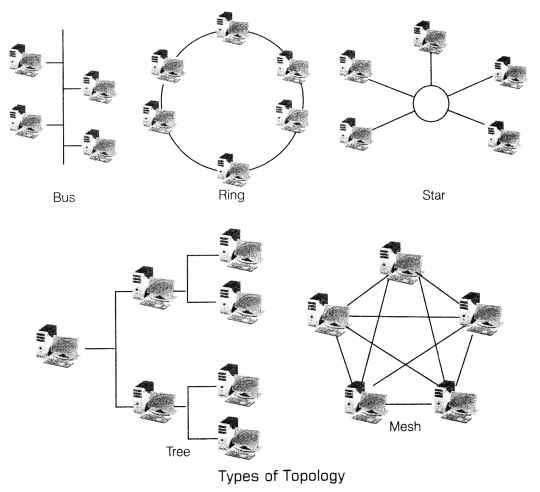Class 12 Informatics Practices Notes Chapter 1 Computer Networking 2