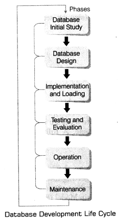 Class-12-Informatics-Practices-Notes-Chapter-14-Back-End-Database-1