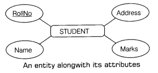 Class 12 Informatics Practices Notes Chapter 14 Back-End Database 5