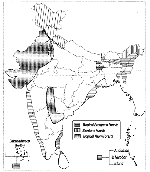Class 9 Geography Map Work Chapter 5 Natural Vegetation and Wildlife a1.1