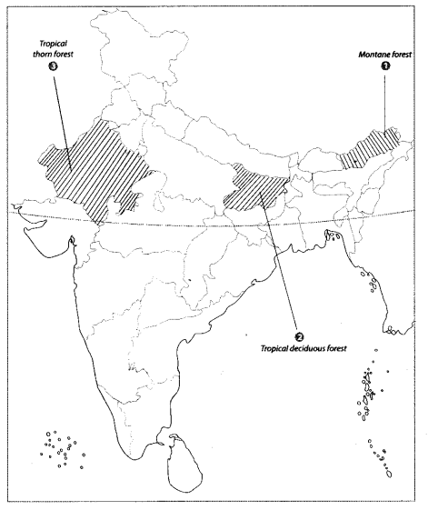 Class 9 Geography Map Work Chapter 5 Natural Vegetation and Wildlife a2.1