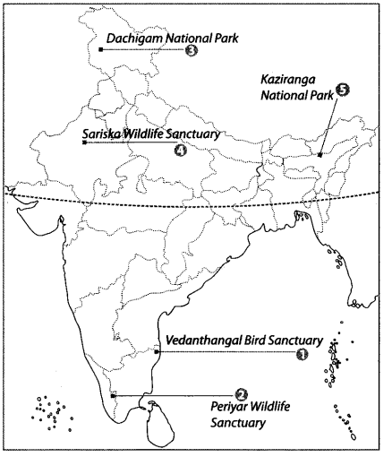 Class 9 Geography Map Work Chapter 5 Natural Vegetation and Wildlife a3.1