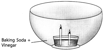 Combustion and Flame Class 8 Extra Questions Science Chapter 6 2