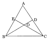Congruence of Triangles Class 7 Extra Questions Maths Chapter 7