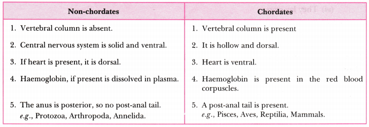 Diversity in Living Organisms Class 9 Extra Questions Science Chapter 7 4