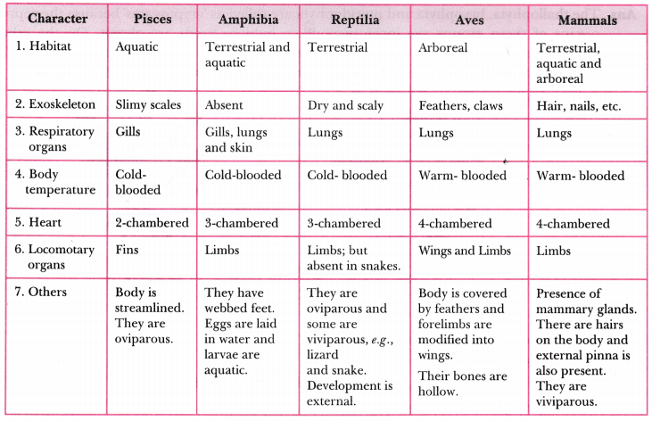 Diversity in Living Organisms Class 9 Extra Questions Science Chapter 7 7